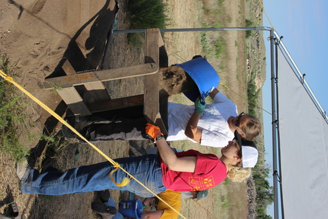 students doing field research on an archaeological dig site