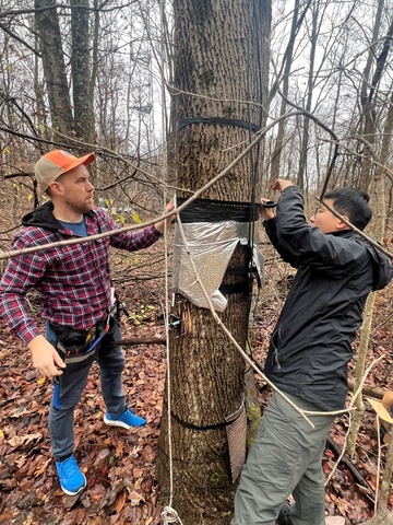 me and postdoc Feng Wang installing dendrometers at the Morgan-Monroe State Forest