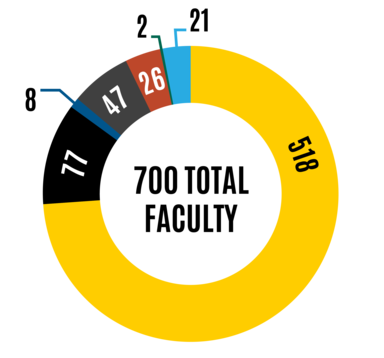 Chart of DEI data for faculty