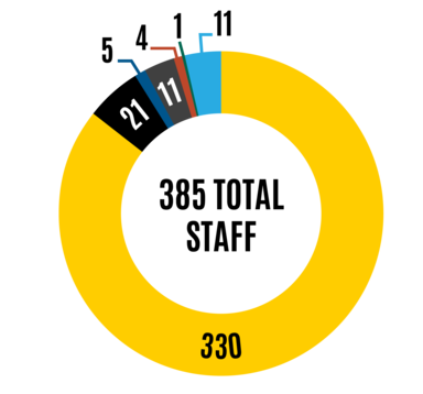 Chart of DEI data for staff