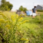 student garden